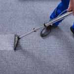 How to Find a Professional Carpet Cleaning Service Provider
