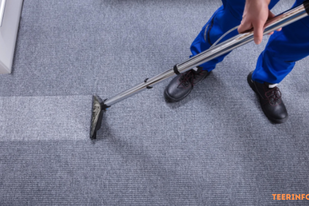 How to Find a Professional Carpet Cleaning Service Provider